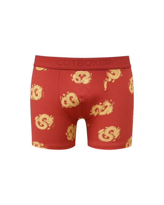 Desenli Pamuk Erkek Boxer (Model 38)
