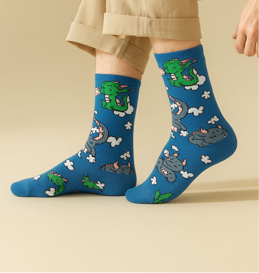 Cotboxer Desenli Çorap (Model 28)