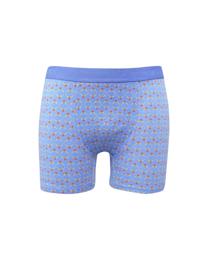 Desenli Pamuk Erkek Boxer (Model 17)