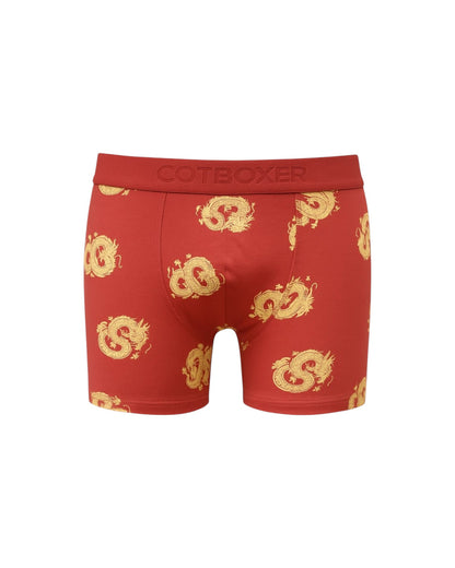 Desenli Pamuk Erkek Boxer (Model 38)