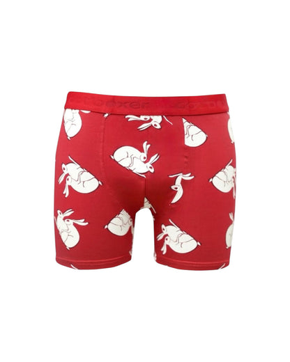 Desenli Pamuk Erkek Boxer (Model 5)