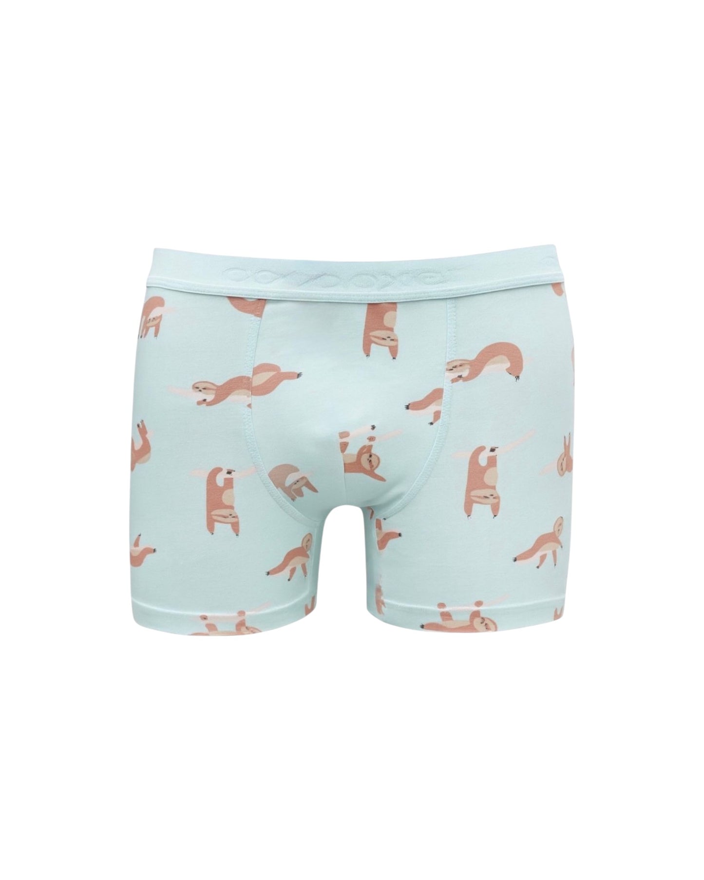 Desenli Pamuk Erkek Boxer (Model 40)