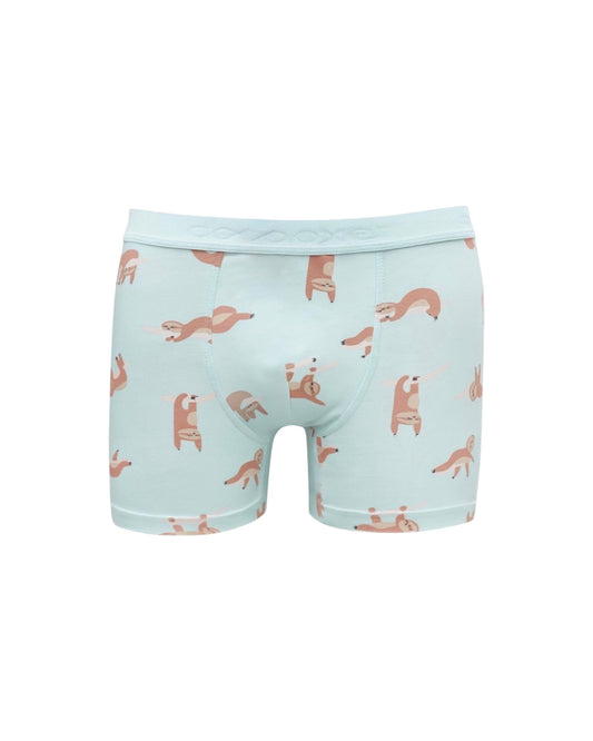 Desenli Pamuk Erkek Boxer (Model 40)