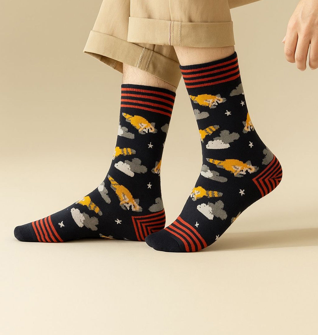 Cotboxer Desenli Çorap (Model56)